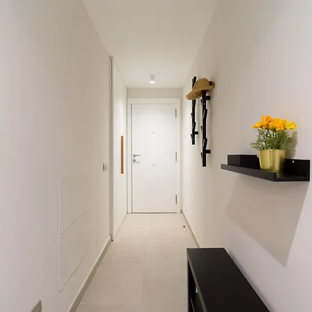 - 50 Meters From The Beach